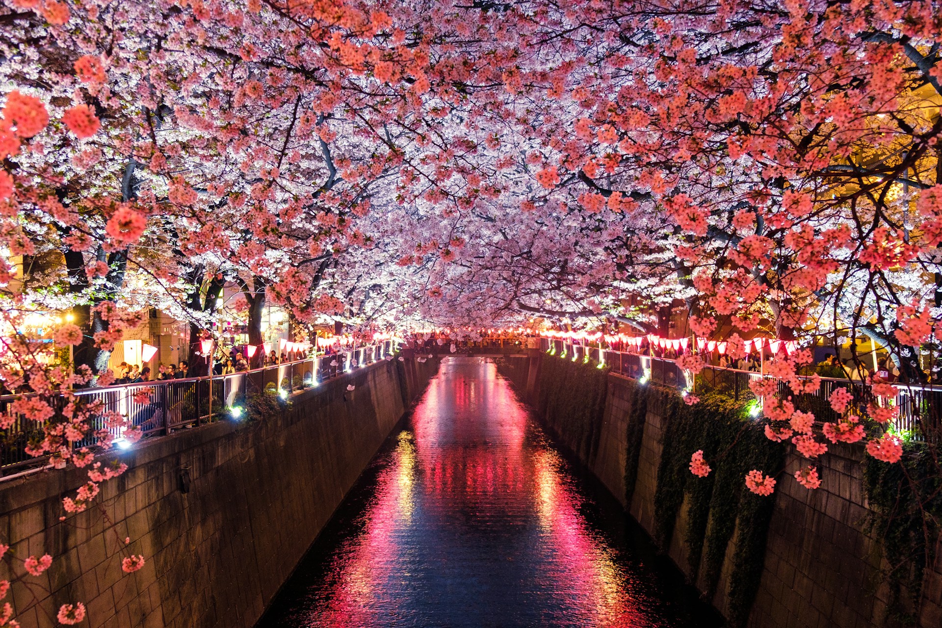 Japan fixer